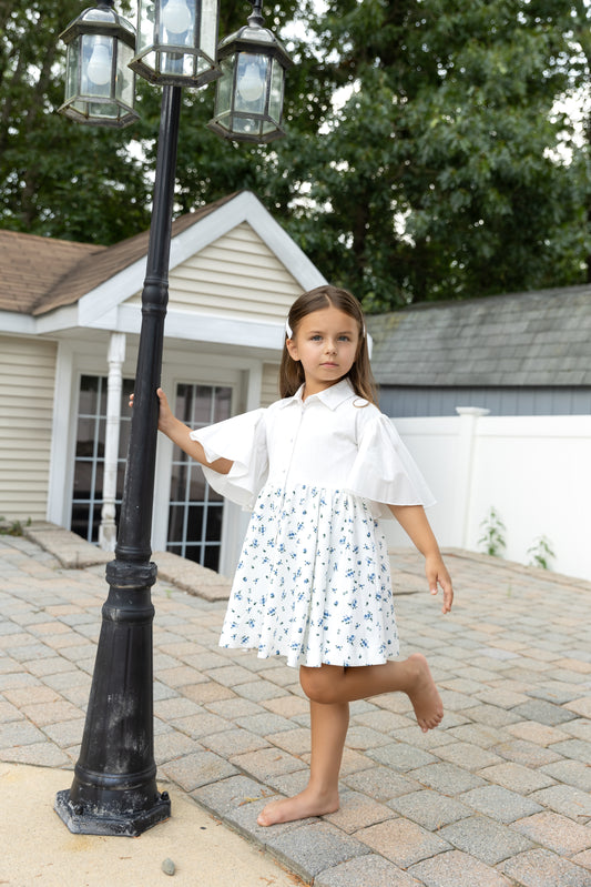 Ivory with Blue Floral Flair Sleeve Dress